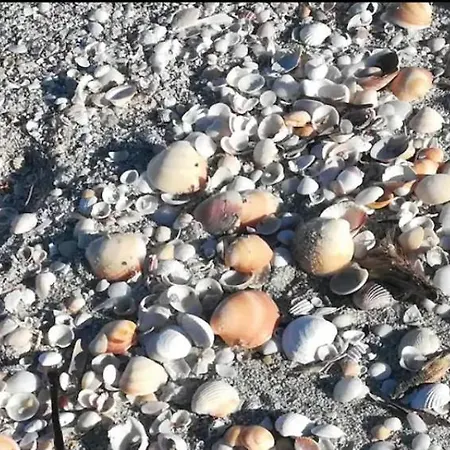 Ila La Caletta