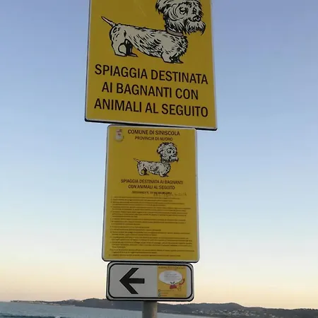 Lejlighed Ila La Caletta